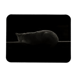Magnet Flexible Chat Silhouette