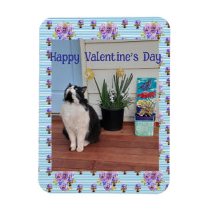 Magnet Flexible Chat smoking drôle mignon chats Saint-Valentin Ble