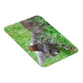 Magnet Flexible Chat Tortie gris (Côté Droit)