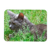 Magnet Flexible Chat Tortie gris (Horizontal)