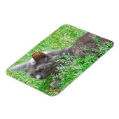 Magnet Flexible Chat Tortie gris (Côté Gauche)