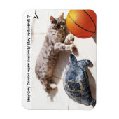 MAGNET FLEXIBLE CHAT, TORTUE ET BASKETBALL (Vertical)