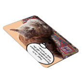 MAGNET FLEXIBLE CHAT TURQUE EN MÉDITATION TRANSCENDENTALE (Côté Droit)