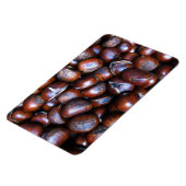 Magnet Flexible Châtaignes (Côté Gauche)