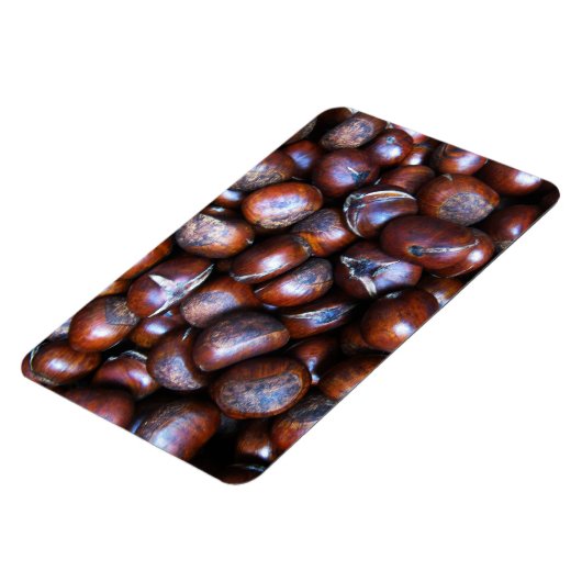 Magnet Flexible Châtaignes (Côté Gauche)