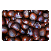 Magnet Flexible Châtaignes (Horizontal)