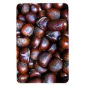 Magnet Flexible Châtaignes (Vertical)