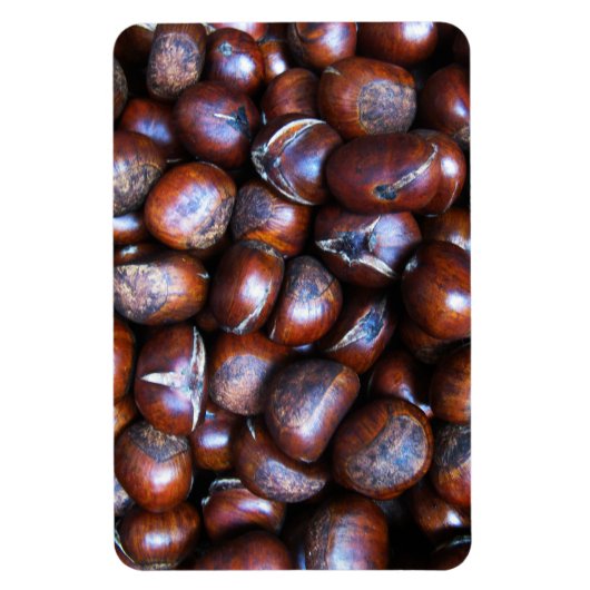 Magnet Flexible Châtaignes (Vertical)