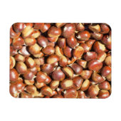 Magnet Flexible châtaignes-211079 châtaignes châtaignes et châtaig (Horizontal)