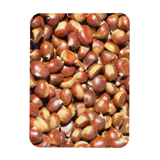 Magnet Flexible châtaignes-211079 châtaignes châtaignes et châtaig (Vertical)