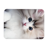 Magnet Flexible Chaton adorable (Horizontal)
