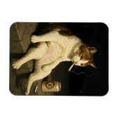 Magnet Flexible Chaton Cigarette Mème Drôle de Chat qui Fume Génér (Horizontal)