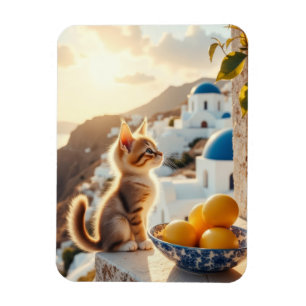 Magnet Flexible chaton en Italie