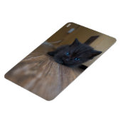 Magnet Flexible Chaton noir (Côté Gauche)