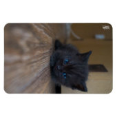 Magnet Flexible Chaton noir (Horizontal)