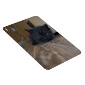 Magnet Flexible Chaton noir (Côté Droit)
