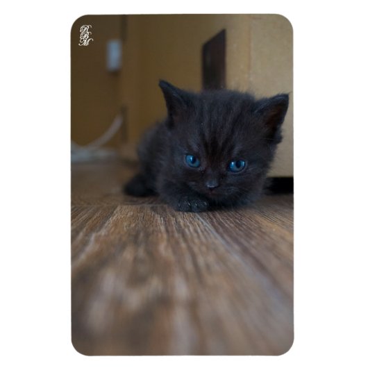 Magnet Flexible Chaton noir (Vertical)