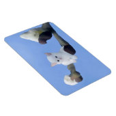 Magnet Flexible chaton printemps (Côté Droit)