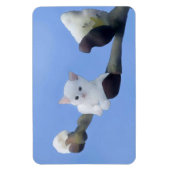 Magnet Flexible chaton printemps (Vertical)