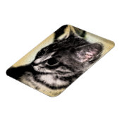Magnet Flexible Chaton tigré (Côté Gauche)