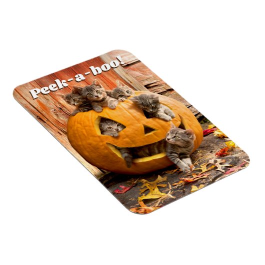 Magnet Flexible Chatons à Jack-o-Lantern (Côté Droit)