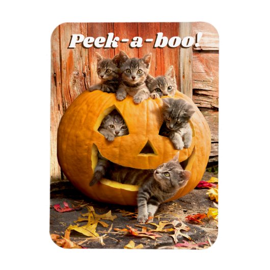 Magnet Flexible Chatons à Jack-o-Lantern (Vertical)