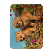 Magnet Flexible Chatons Lynx du Canada, Alaska (Vertical)