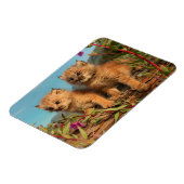 Magnet Flexible Chatons Lynx du Canada, Alaska (Côté Gauche)