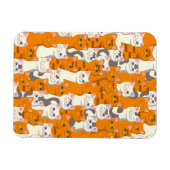 Magnet Flexible Chats blancs et gingembre motif yeux verts yeux bl (Horizontal)