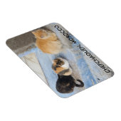 Magnet Flexible Chats, Chefchaouen, Maroc (Côté Droit)