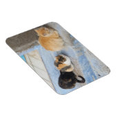 Magnet Flexible Chats, Chefchaouen, Maroc (Côté Droit)