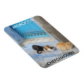 Magnet Flexible Chats, Chefchaouen, Maroc (Côté Droit)