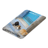 Magnet Flexible Chats, Chefchaouen, Maroc (Côté Gauche)