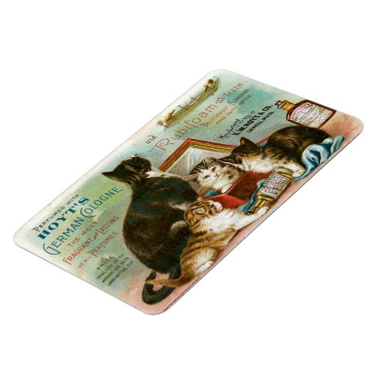 Magnet Flexible Chats pour Hoyt's (Côté Gauche)