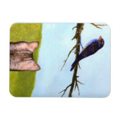 Magnet Flexible Chats Tigrés Parlent aux Oiseaux (Horizontal)