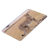 Magnet Flexible Cheetah (Côté Gauche)