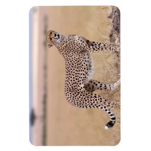 Magnet Flexible Cheetah (Vertical)