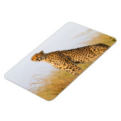 Magnet Flexible Cheetah (Côté Gauche)