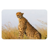 Magnet Flexible Cheetah (Horizontal)