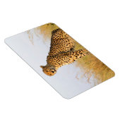 Magnet Flexible Cheetah (Côté Droit)