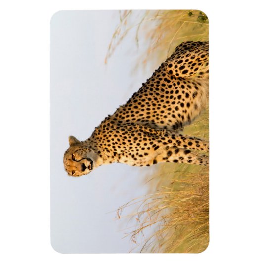 Magnet Flexible Cheetah (Vertical)