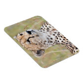 Magnet Flexible Cheetah (Côté Droit)