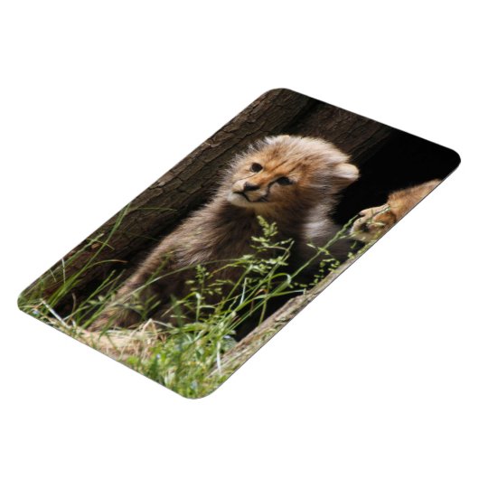 Magnet Flexible Cheetah 005 (Côté Gauche)