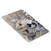 Magnet Flexible Cheetah Portrait (Côté Droit)
