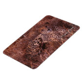 Magnet Flexible Cheetah Stare (Côté Gauche)