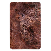 Magnet Flexible Cheetah Stare (Vertical)