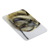 Magnet Flexible Chef d'abeille (Côté Droit)