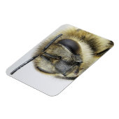 Magnet Flexible Chef d'abeille (Côté Gauche)