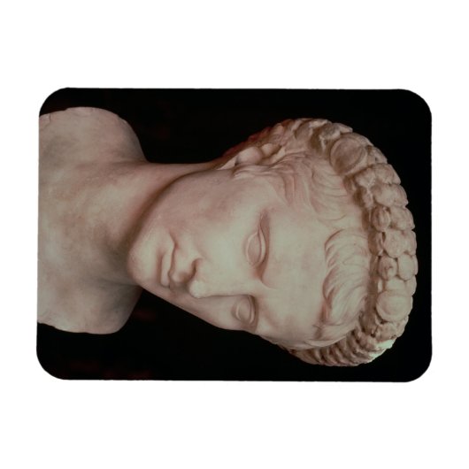 Magnet Flexible Chef de César Augustus (Horizontal)