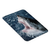 Magnet Flexible Chef du grand requin blanc (Côté Droit)